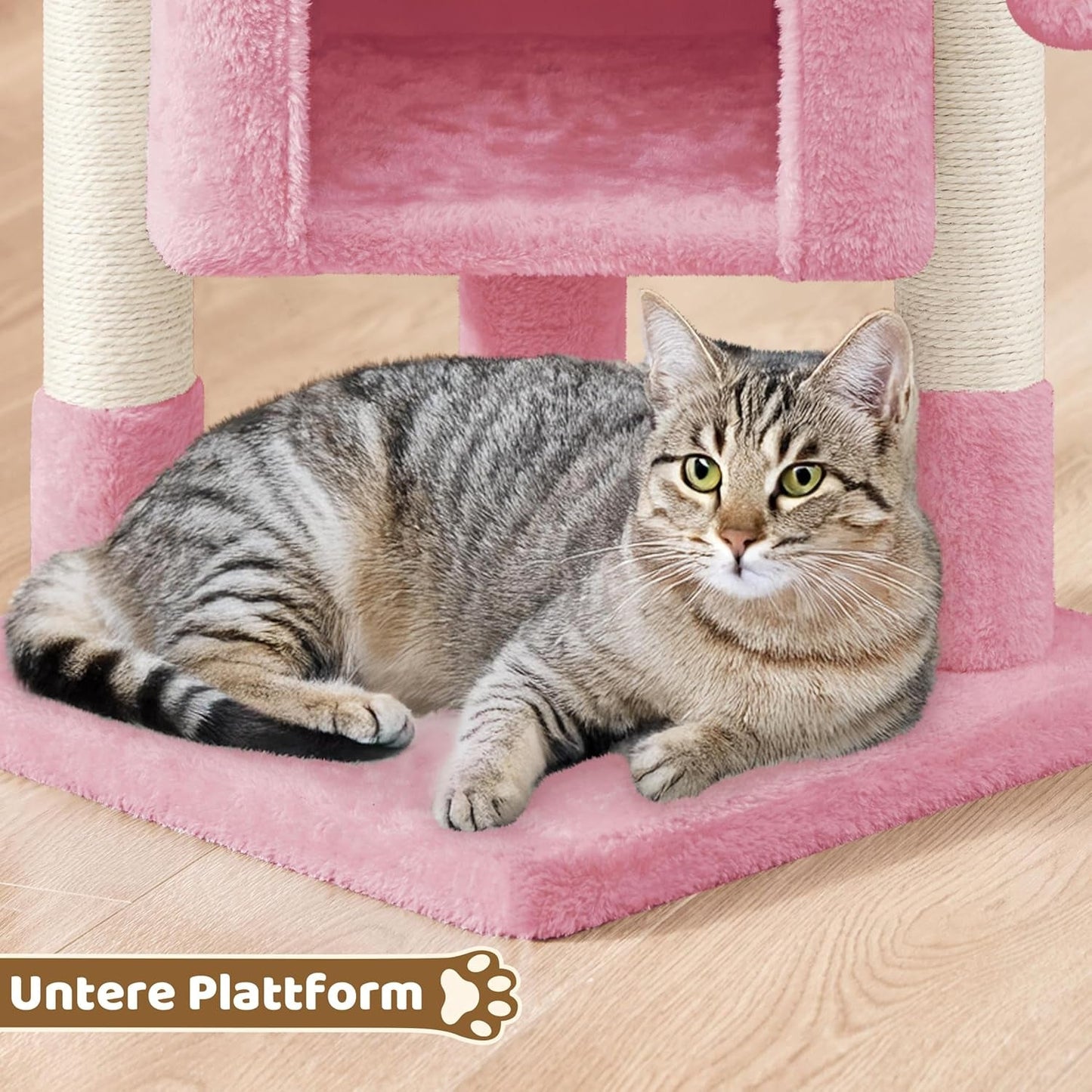 Mantas y Muebles, Mascotas, Gatos, Camas para gatos, Rascador, Gatos - Camas, Colchones