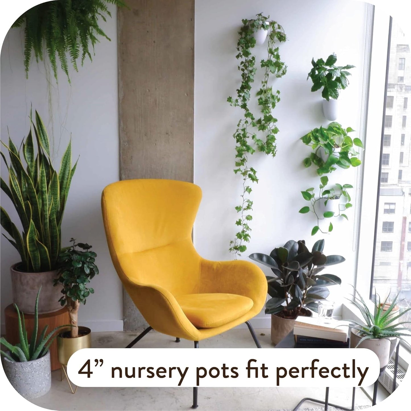 Macetas de pared con riego automático Virgo (juego de 6) - Fáciles de regar e instalar - Livianas - Crea tu propio jardín vertical - Macetas de pared para plantas de interior