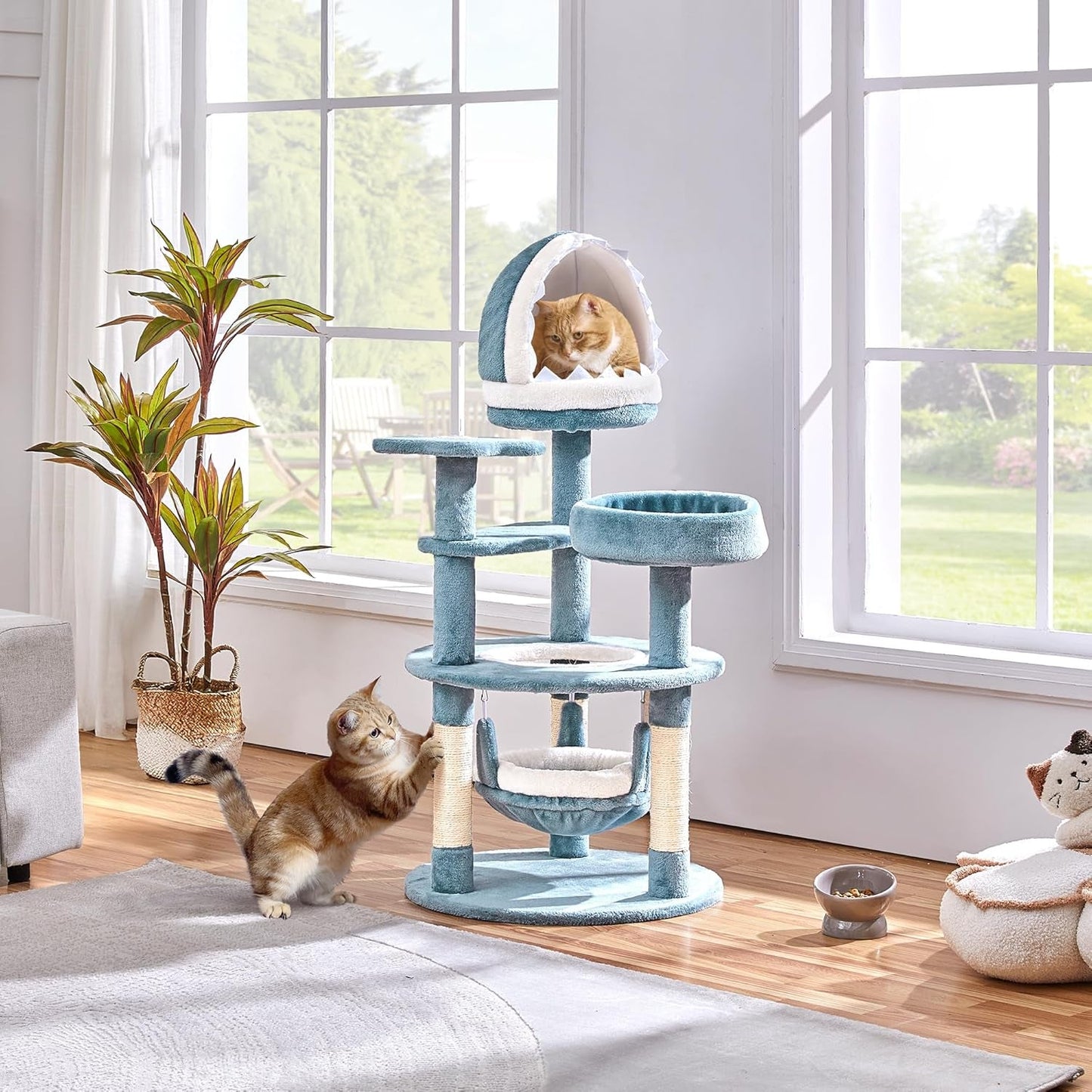 Mantas y Muebles, Mascotas, Gatos, Camas para gatos, Rascador, Gatos - Camas, Colchones