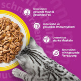 WHISKAS Comida húmeda para gatos en gelatina 120 x 85g Selección de aves