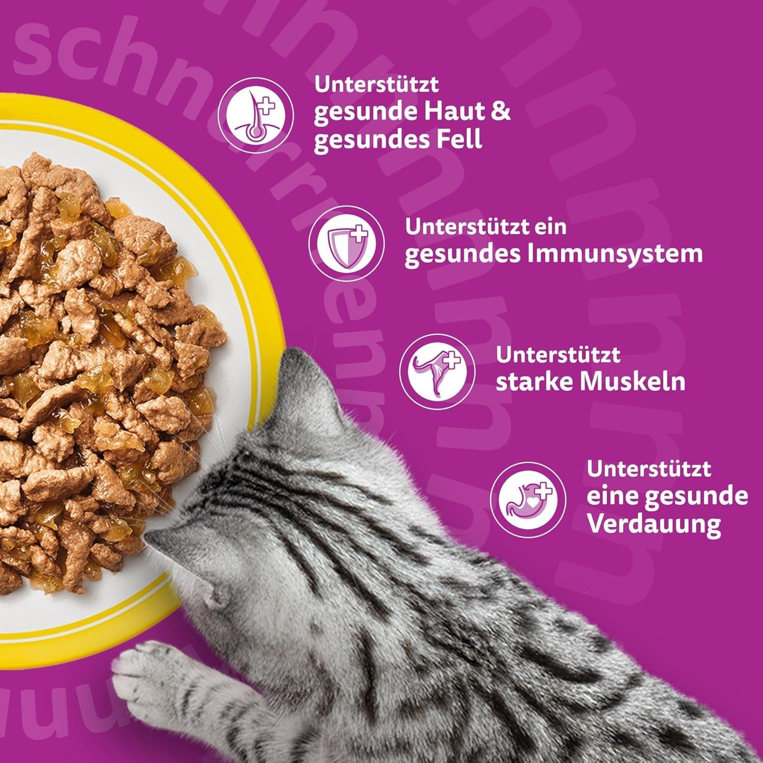 WHISKAS Comida húmeda para gatos en gelatina 120 x 85g Selección de aves