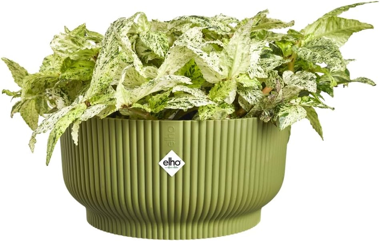 elho Vibes Fold Bowl 25 - Macetas de interior - 100% plástico reciclado - Ø 24,9 x H 12,1 cm - Verde/Ferngrün