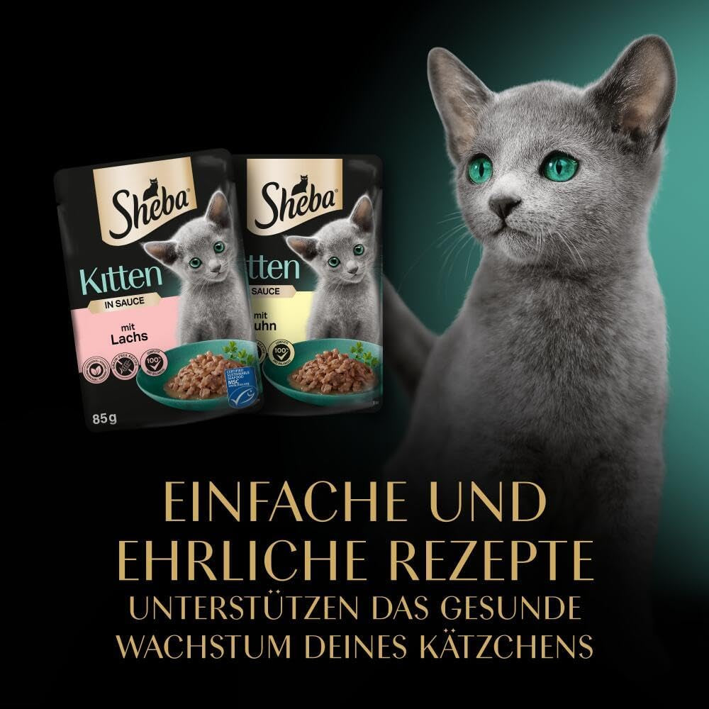 Sheba comida húmeda para gatitos, en sobres surtidos, con salmón (MSC) y pollo en salsa, multipack 40x85g