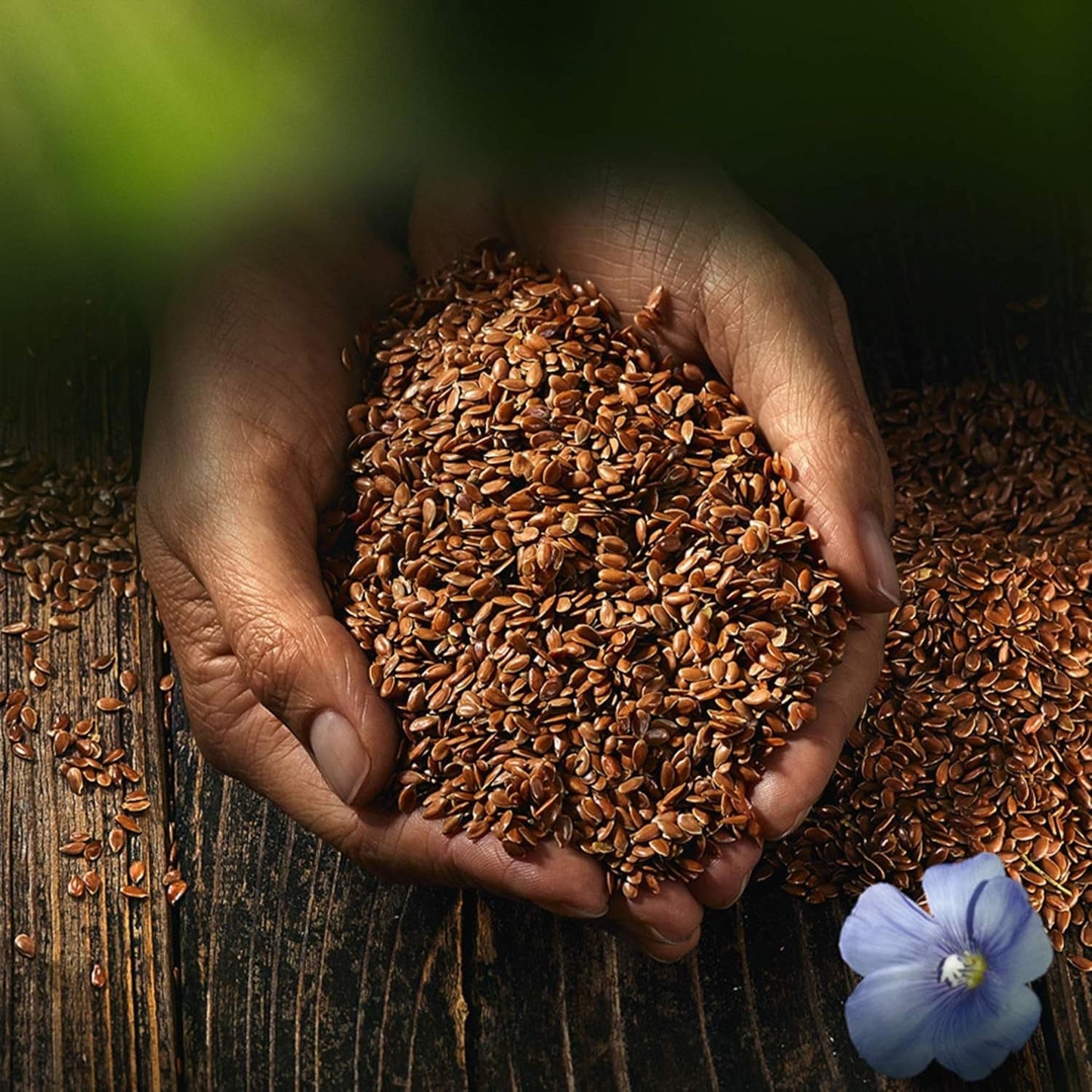 Semillas de lino enteras Biocentral | 7 x 400g de semillas de lino orgánicas | Ideal para yogur, muesli y pan | Alternativa al psyllium, las semillas de cáñamo y las semillas de chía