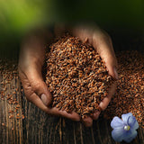 Semillas de lino enteras Biocentral | 7 x 400g de semillas de lino orgánicas | Ideal para yogur, muesli y pan | Alternativa al psyllium, las semillas de cáñamo y las semillas de chía