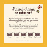 Lily's Kitchen Alimento natural húmedo y tierno para gatos adultos, bandejas, recetas sin cereales, surtido (32 bandejas x 85 g)