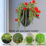 Notakia Macetero facetado de pared para interior y exterior con drenaje para suculentas, cactus y plantas pequeñas, decoración única del hogar, regalo para amigos y familiares