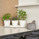 Juego de 3 hermosas macetas de jardín con hierbas, perfectas para cualquier alféizar de ventana o mostrador de la cocina, un moderno juego de jardineras decorativas que incluye bandeja y...