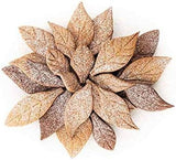 Silikomart, Voila Hojas De Galleta, 240mm X 150mm, Altura 20mm Cocina Naty Shop