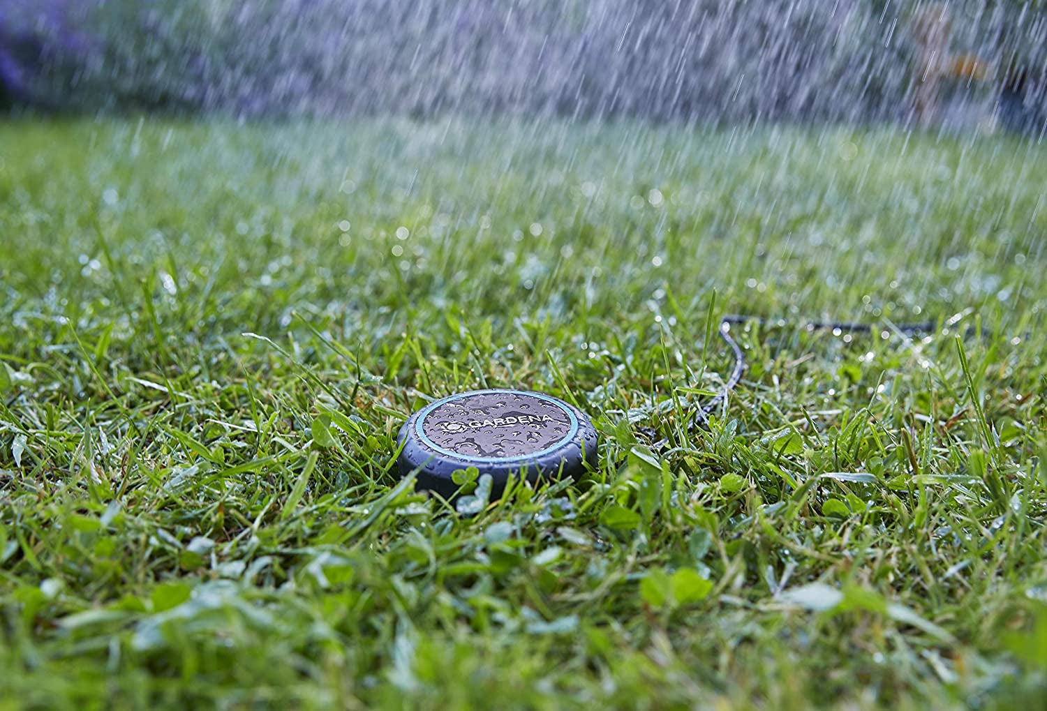 Cable de extensión Gardena (10 m) para sensor de lluvia y sensor de humedad del suelo, cable de conexión con sistema Easy Click, extensible hasta 105 m, para uso sobre y bajo tierra (01868-20)