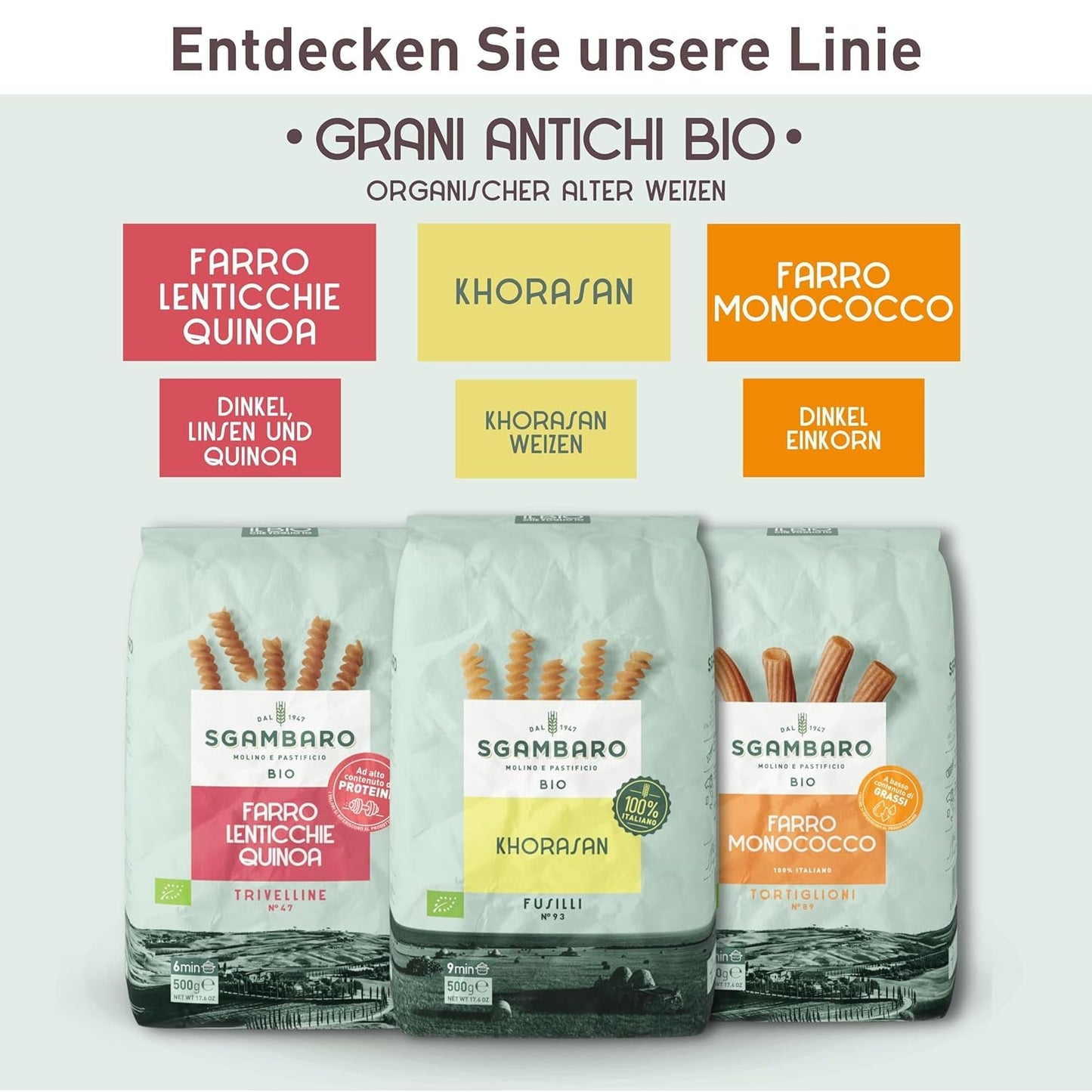 Pasta Penne Rigate Bio N.91 - 500g con harina de espelta, harina de lentejas y harina de quinoa - Rica en proteínas, fuente de fibra y proteínas