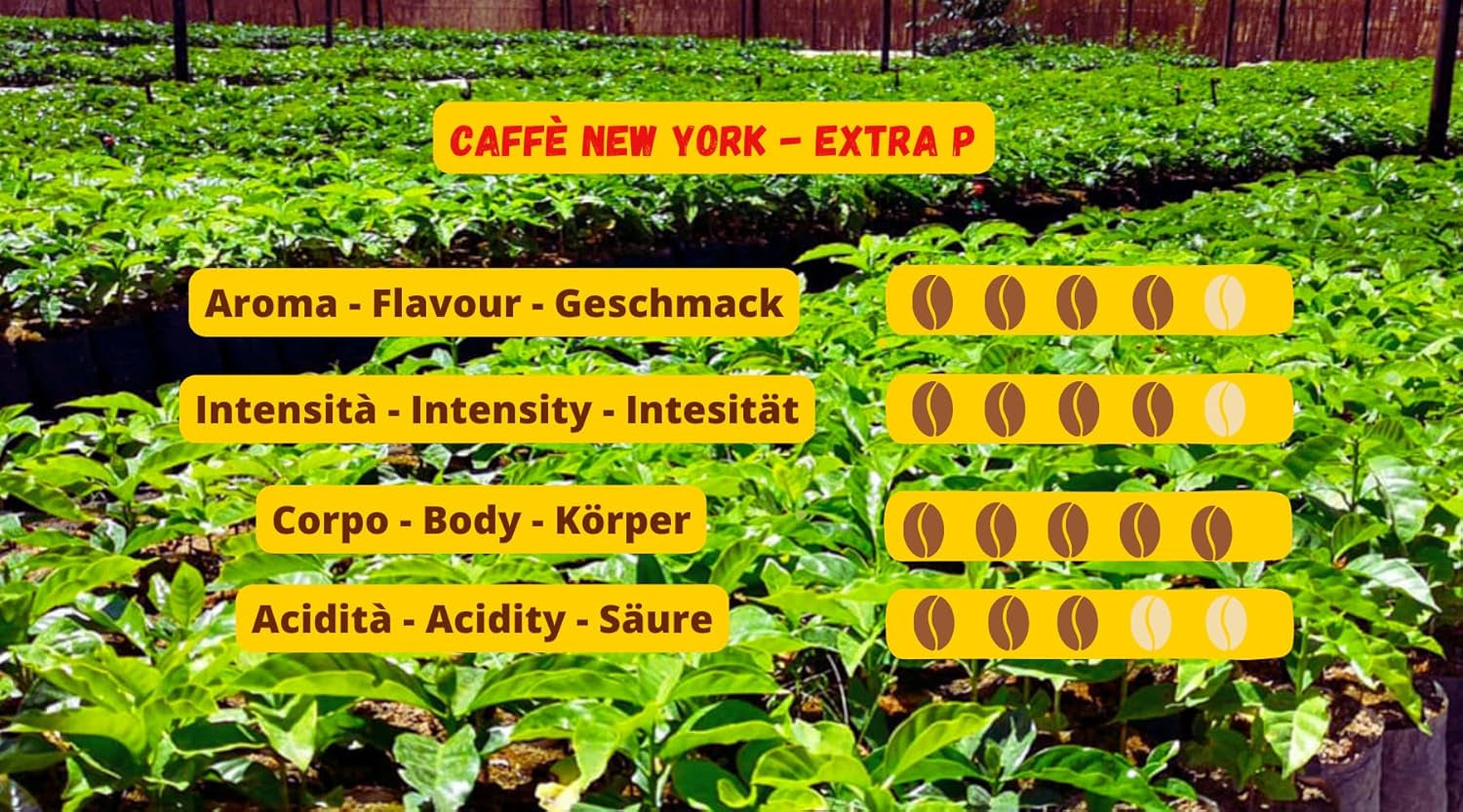 New York Coffee - EXTRA P - Café en granos, sabor fuerte y decisivo, granos de Arábica y Robusta, para moler, espresso italiano, mezcla en barra - calidad premium desde 1930 - 1 kg, granos