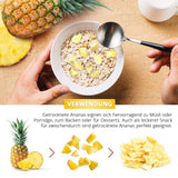 Piña liofilizada 250g, trozos grandes, fruta liofilizada en rodajas, sin azúcar, piña afrutada en trozos, piña deshidratada Productos deshidratados Naty Shop