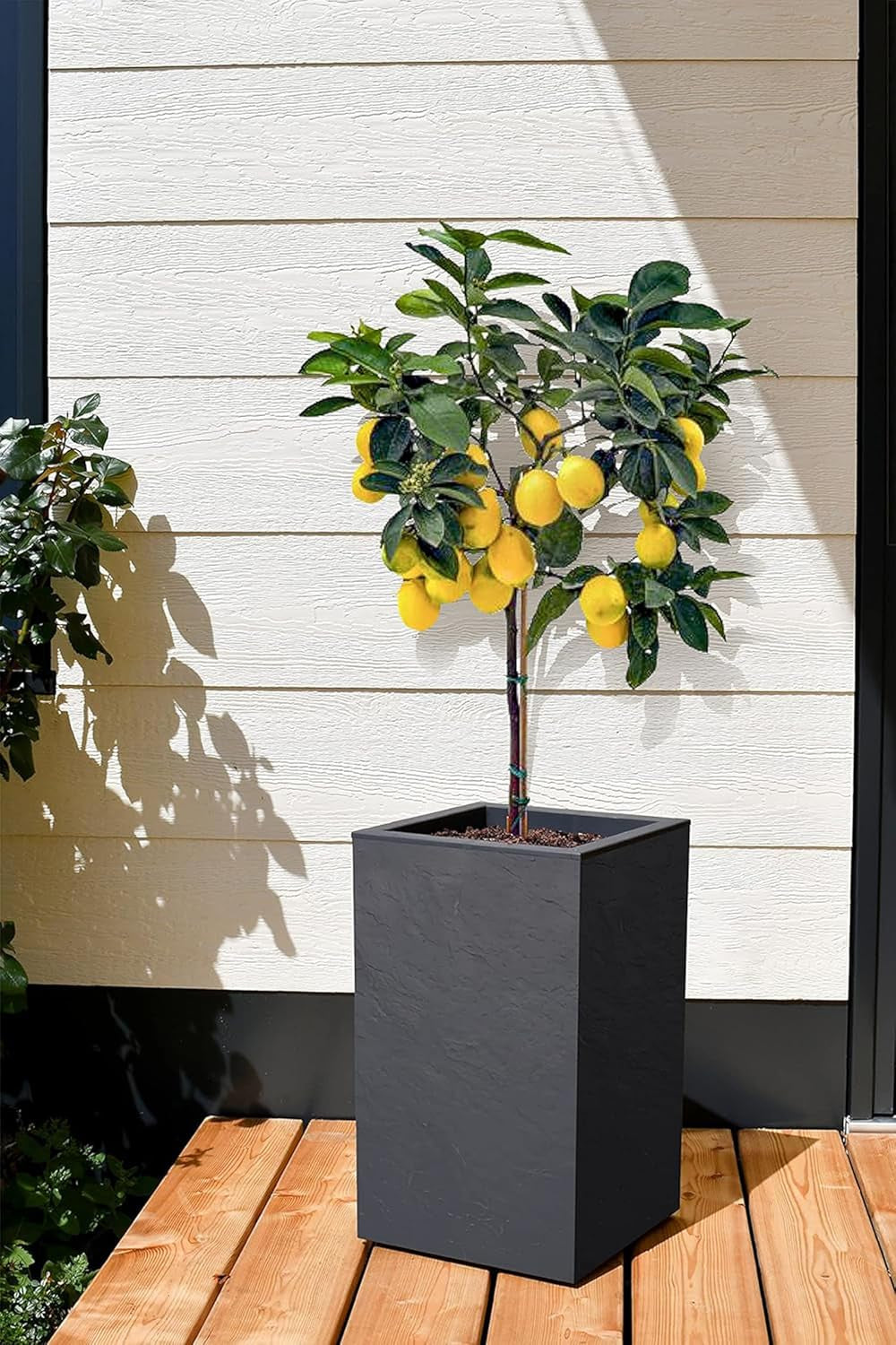 Jardinera Volcania Up, cuadrada, alta, 36 l, aspecto piedra, pared simple, depósito de agua, 29,5 x 29,5 x 49,5 cm, gris antracita