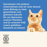 Applaws 100% natural Premium Nassfutter para Katzen, Thunfischfilet mit Algen in Brühe - Paquete con 24 dosis de 156 g