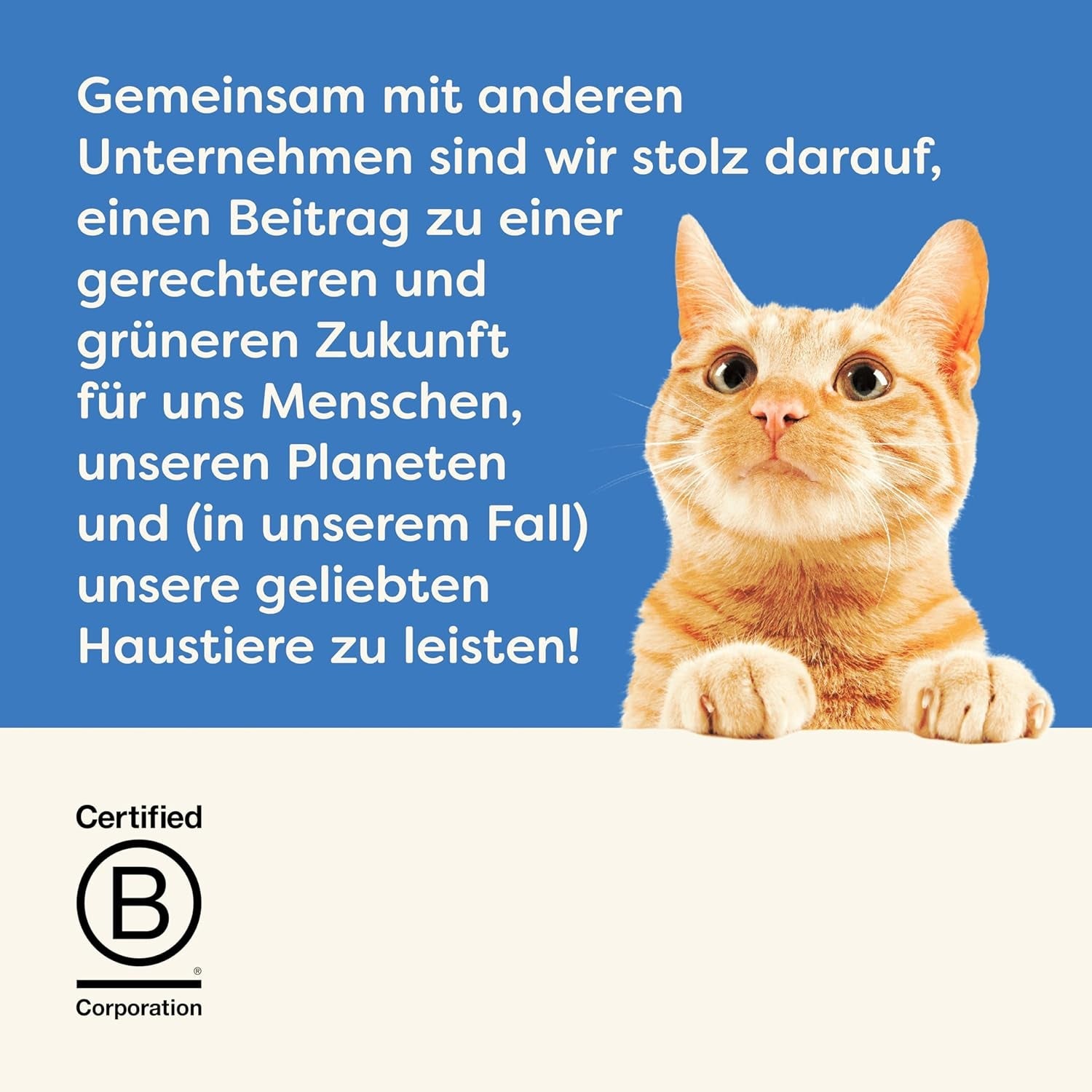 Applaws 100% natural Premium Nassfutter para Katzen, Thunfischfilet mit Algen in Brühe - Paquete con 24 dosis de 156 g