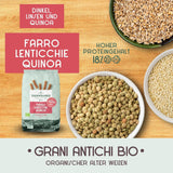 Pasta ecológica Trivelline N.47 - 500g con harina de espelta, harina de lentejas y harina de quinoa - Rica en proteínas, fuente de fibra y proteínas