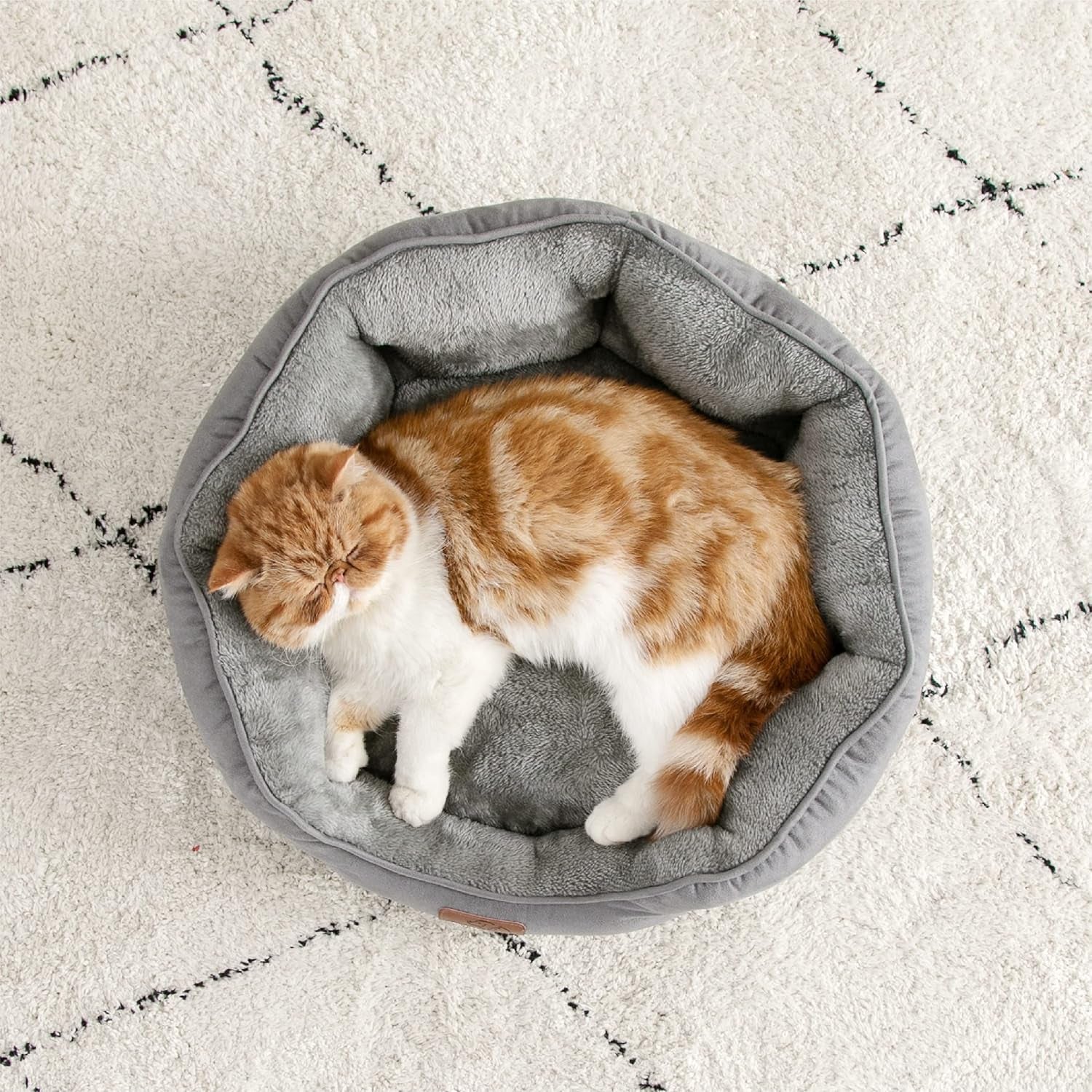 Camas y Sofás, Mantas y Muebles, Mascotas, Gatos, Camas para gatos, Gatos - camas, colchones