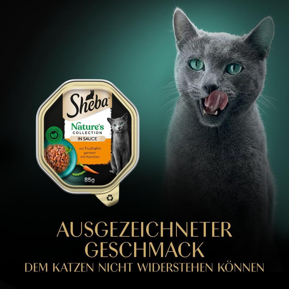 SHEBA Comida húmeda para gatos, Nature's Collection en salsa de pavo, 2 x 11 x 85 g