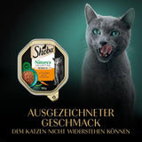 SHEBA Comida húmeda para gatos, Nature's Collection en salsa de pavo, 2 x 11 x 85 g