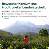 Té Tie Guan Yin Oolong de Anxi, China | Cosecha 2025 | Té chino Oolong de alta calidad | Té chino premium de plantaciones tradicionales 100 g