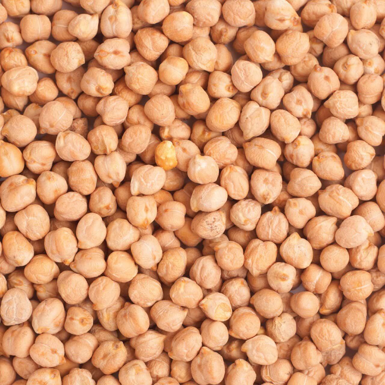 Garbanzos ecológicos Wholefood Earth 3 kg | Sin OGM | Vegano | Rico en fibra | Rico en proteínas | Certificado orgánico
