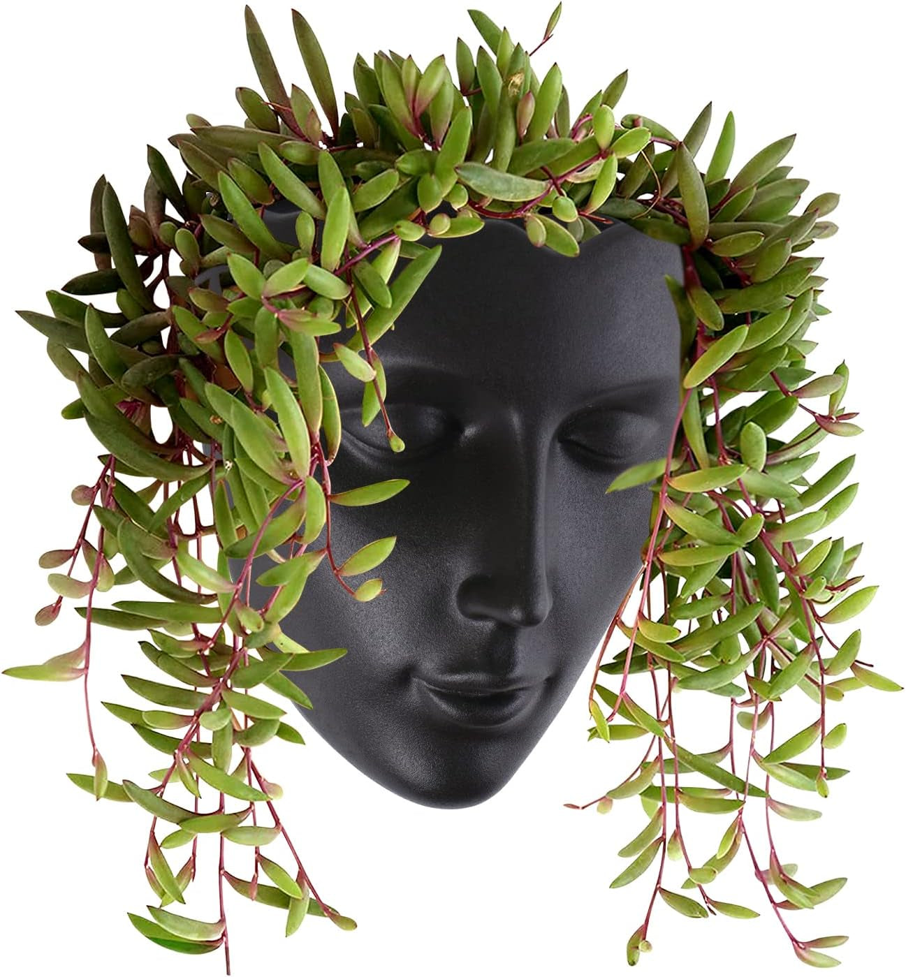 Notakia Macetero facetado de pared para interior y exterior con drenaje para suculentas, cactus y plantas pequeñas, decoración única del hogar, regalo para amigos y familiares