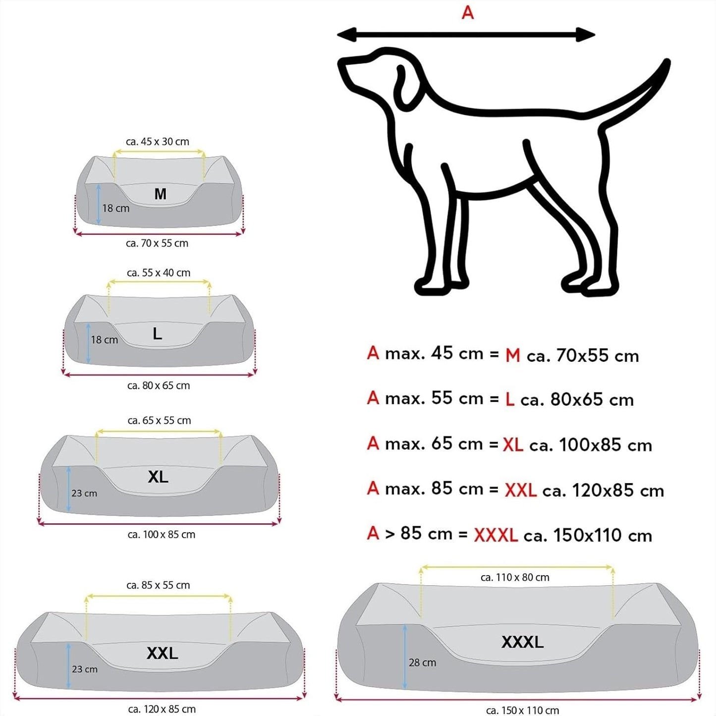 Camas, mascotas, perros, lugares para dormir y muebles.
