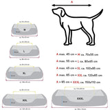 Camas, mascotas, perros, lugares para dormir y muebles.