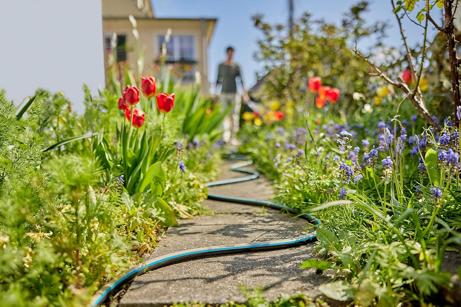 Manguera Gardena EcoLine de 1/2 pulgada, 20 m sin componentes del sistema: Manguera de jardín sostenible hecha de plástico reciclado, libre de ftalatos y contaminantes, función de agarre fuerte, resistente a las heladas y a los rayos UV (18930-20)