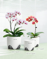 Maceta para orquídeas con orificios de drenaje para trasplantar, excelente circulación de aire, 2 piezas, plástico de doble capa, macetero de cerámica para orquídeas, maceta transparente para orquídeas, decorativa