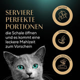 SHEBA Perfect PORTIONS salsa para gatos con pavo 8 x 3 x (2 x 375g)