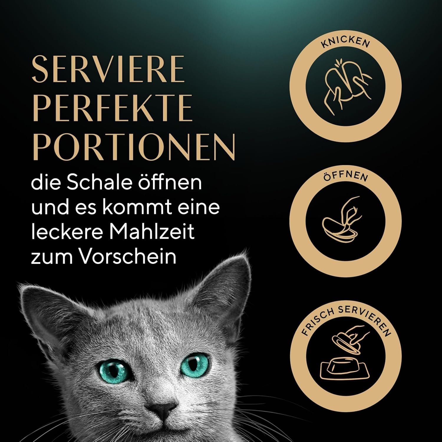 SHEBA Perfect PORTIONS salsa para gatos con pavo 8 x 3 x (2 x 375g)