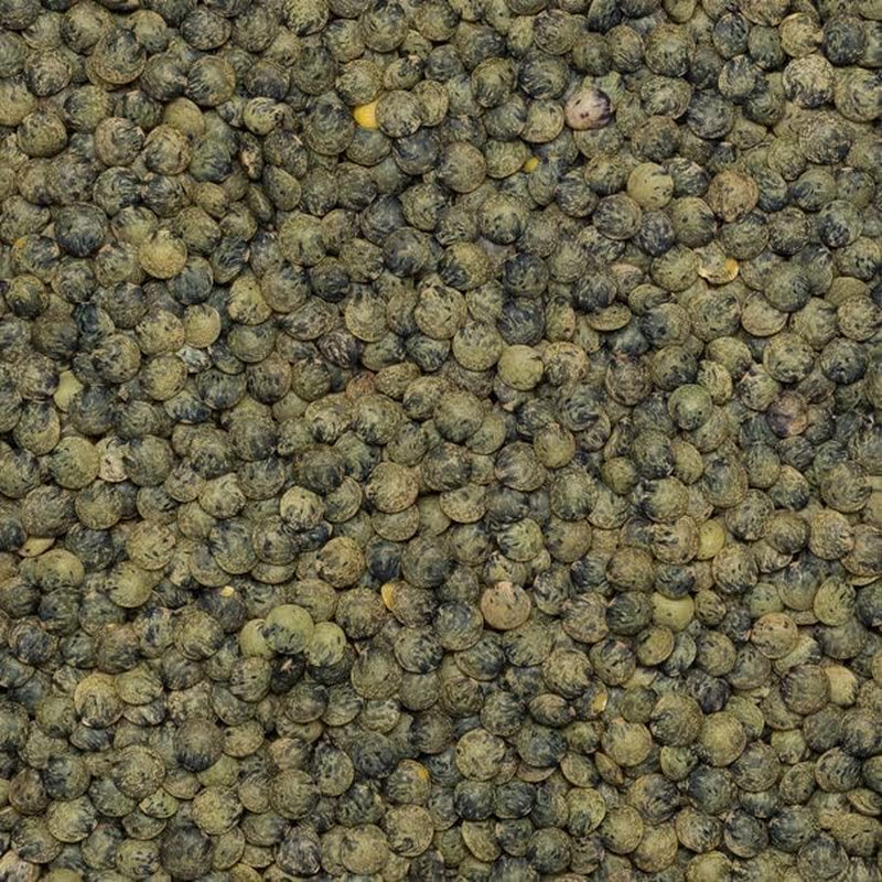 Wholefood Earth Lentejas orgánicas estilo francés de color verde oscuro 1 kg sin OGM | Vegano | Rico en fibra | Rico en proteínas | Certificado orgánico