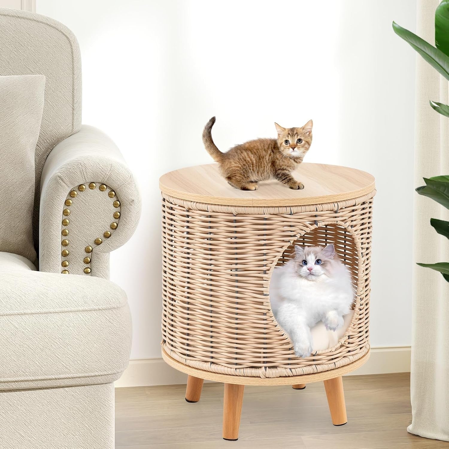 Katzenhaus Rattan, Katzenmöbel mit Holzbeinen & soft Kissen, 3 en 1 Katzenhöhle Fußhocker Nachttisch, Katzenbett stabil bis 30 kg für Wohnzimmer Schlafzimmer