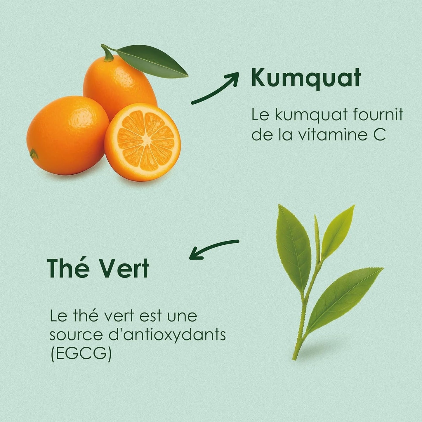 Yunnan Tuocha Zouji - Té verde orgánico con kumquat - Vitamina C - 100 bolsitas de té - 200 g - Calidad Yunnan garantizada