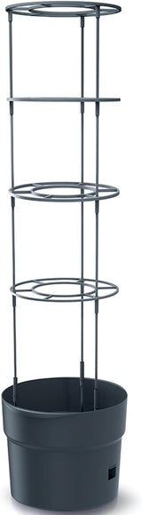 Macetas para plántulas de tomate Prosperplast con enrejado - Jardinera de plástico resistente | Antracita | Resistente a la intemperie y a los rayos UV | 29,5 x 115,2 cm | Ideal para el jardín y la terraza.