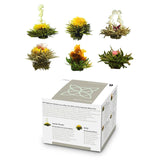 Feelino Elegant Caja Mixta de 6 Piezas - Flores de Té Blanco Feelino en una preciosa caja de degustación y regalo con 6 rosas de té blanco diferentes, envasadas individualmente al vacío, paquete de 1 pieza