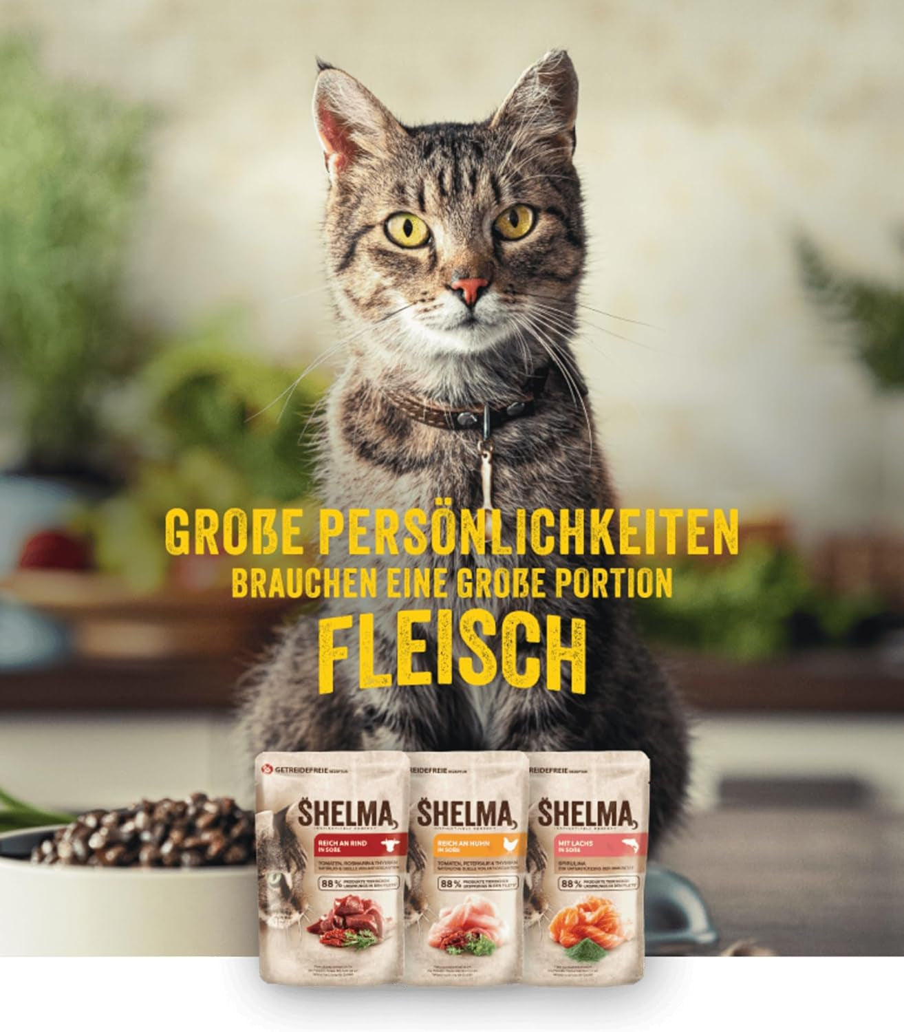 Shelma Comida húmeda para gatos con pollo en salsa de tomate y hierbas - Alimento completo sin cereales con alto contenido en carne - 28 x 85 g (2,38 kg)