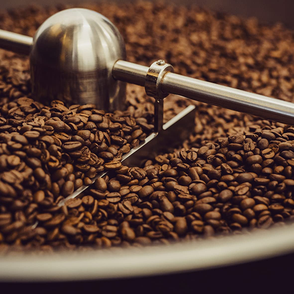 - Moca 1000g | Café fuerte para Schümli y espresso en máquinas totalmente automáticas | Granos de café tostados enteros | Con 90% de granos de Arábica