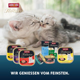 animonda vom Feinsten Premium Kitten Comida húmeda para gatos, Sabores refinados en salsa, 24 sobres (24 x 85 g), Comida húmeda de alta calidad para gatos, sin azúcar, Mezcla mixta