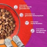 WHISKAS Duo Sachets para porciones de comida húmeda, paquete múltiple, combinación clásica en gelatina, 12 x 85 g