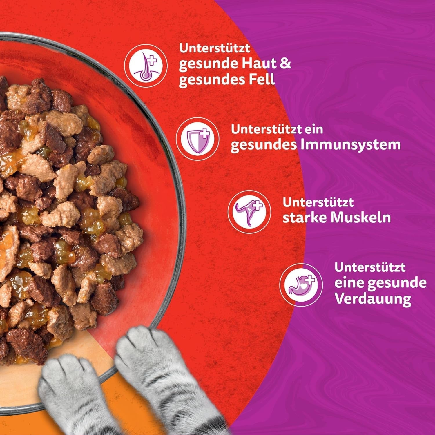 WHISKAS Duo Sachets para porciones de comida húmeda, paquete múltiple, combinación clásica en gelatina, 12 x 85 g