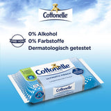 Toallitas húmedas, Ultimate Fresh, 12 x 42 toallitas, tecnología Deodycylx, respetuosas con la piel, sin alcohol ni colorantes, sensibles, biodegradables