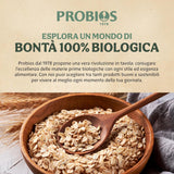 Copos de maíz ecológicos light 500g por paquete