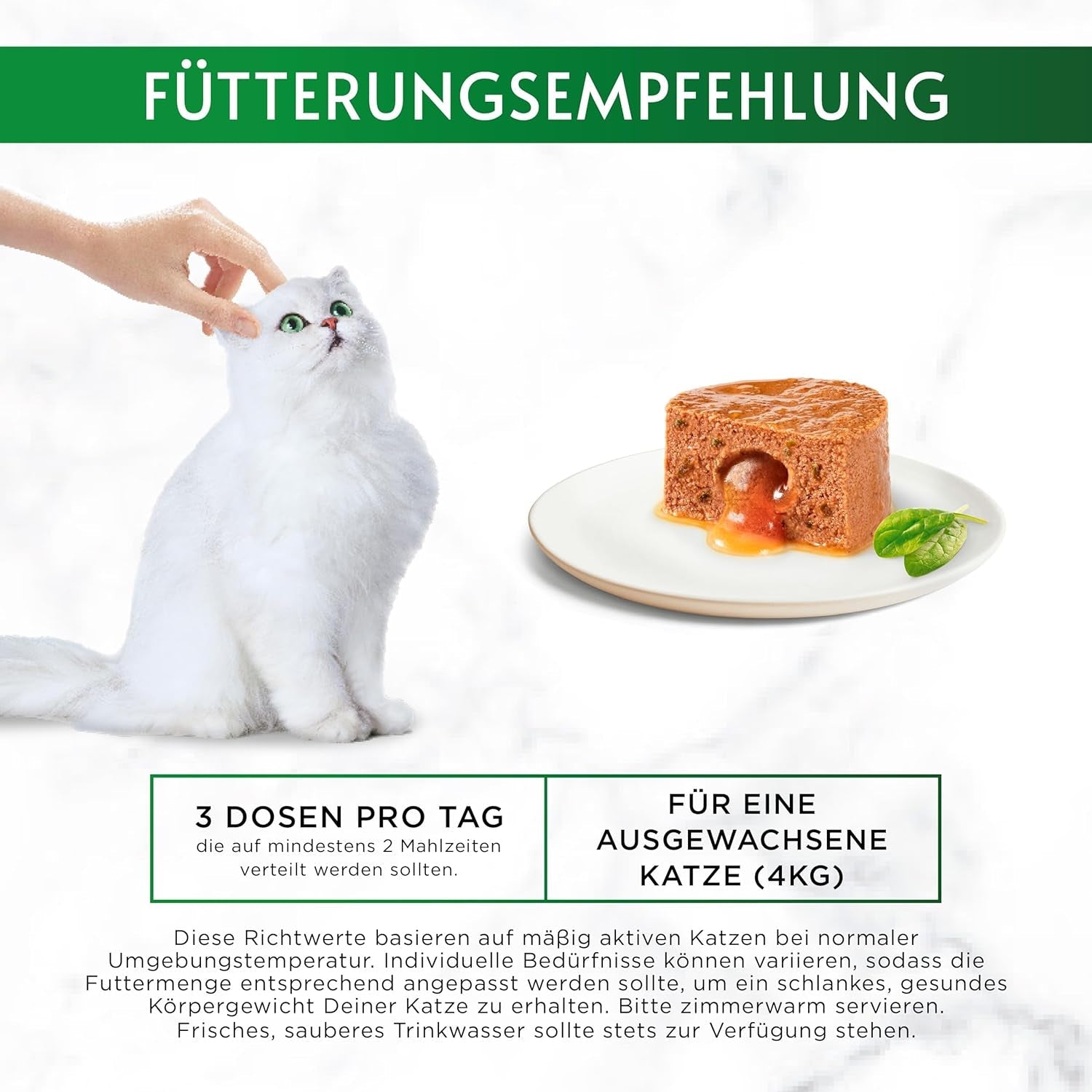 Gourmet Nature's Creations Mousse de salsa de corazón, comida húmeda para gatos, rica en pollo, paquete de 12 (12 x 85 g)