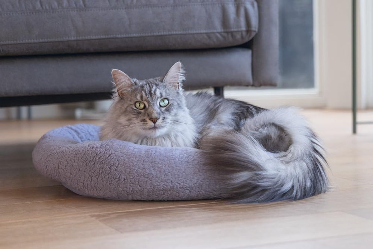 Camas, mantas y muebles, mascotas, gatos, camas para gatos, Gatos - camas, colchones