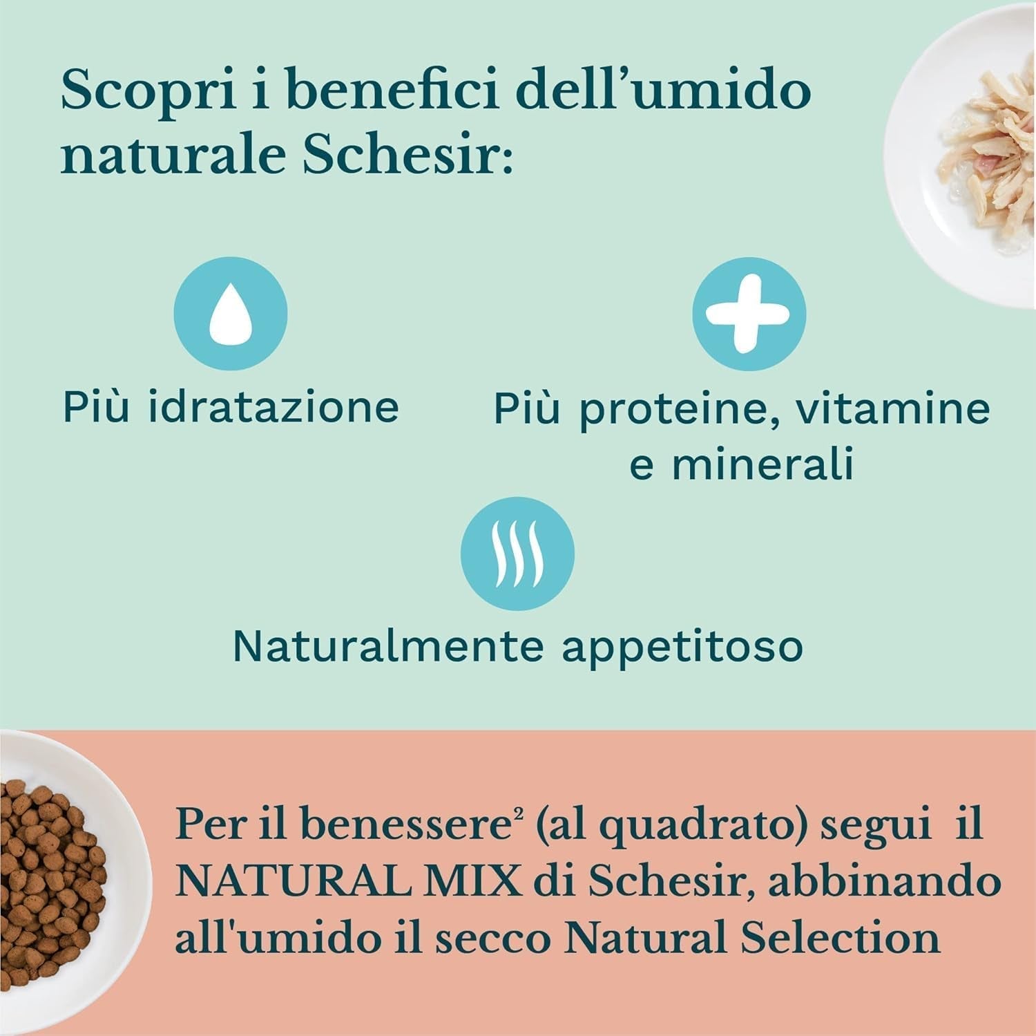 Comida húmeda para gatos pequeños con crema de pollo y pollo - Comida húmeda para gatos pequeños - Comida húmeda para gatos con crema de pollo, sin cereales, rica en proteínas, vitaminas y minerales (20 sobres x 150 g)