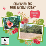 Allos Papilla sin azúcar de higos y frambuesas, Set 6 x 500 gramos Cereales Naty Shop