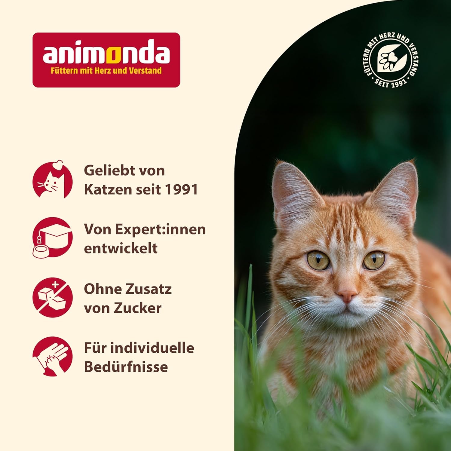 Animonda Carny Senior Comida húmeda para gatos con ternera + pollo + queso (6 x 200g), comida húmeda sin cereales y sin azúcar para gatos a partir de 7 años, con ingredientes frescos y cárnicos